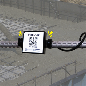 SANKO山高   無(wú)線混凝土溫度傳感器 T 型塊